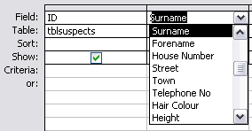 Screenshot showing how to make a query